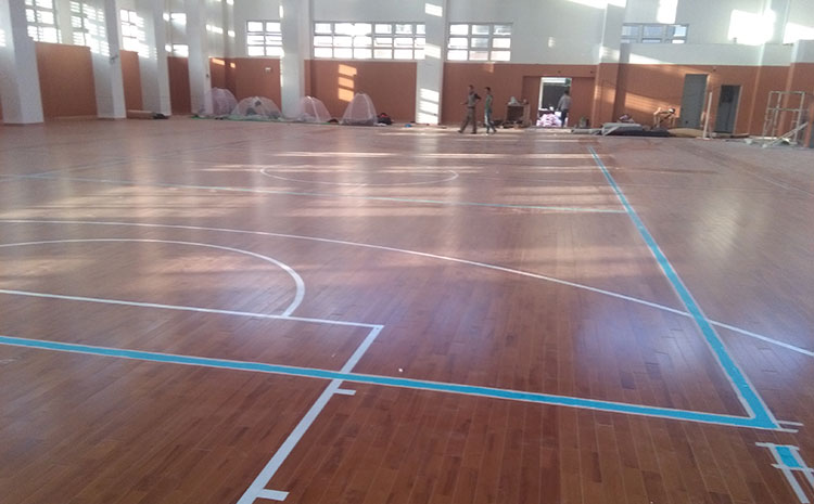 楓樺木實木運動地板圖片及價格