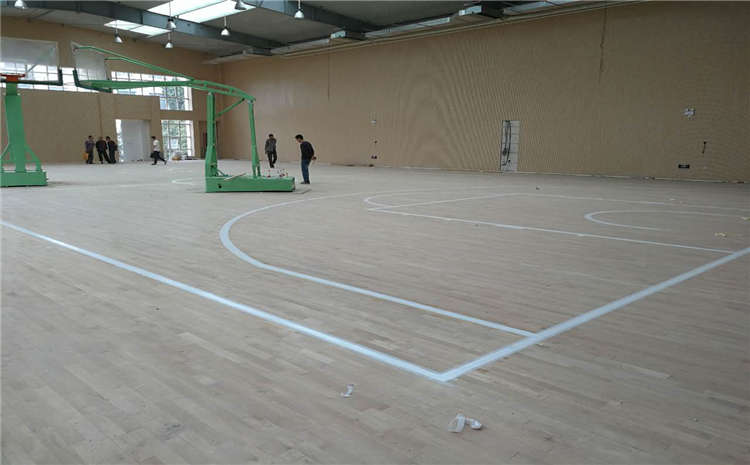 河南運動木地板怎么預防被蛀蟲的問題