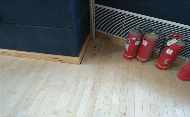 22厚運動木地板廠家去哪找？