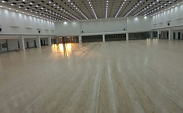 拼接板體育運(yùn)動(dòng)地板結(jié)構(gòu)