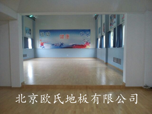 新疆運動木地板案例