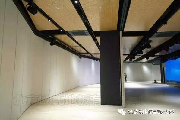 韓國(guó)大使館文化院多功能廳體育地板成功案例-圖3