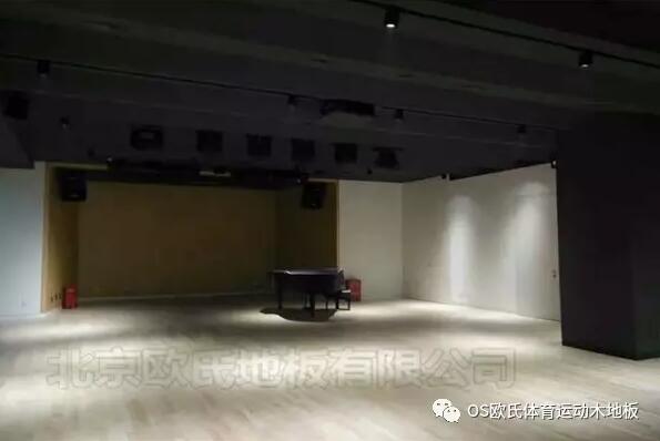 韓國(guó)大使館文化院多功能廳體育地板成功案例-圖4