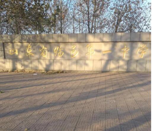 山東德州臨邑**中學(xué)體育館木地板成功案例 山東德州臨邑**中學(xué)體育館木地板成功案例