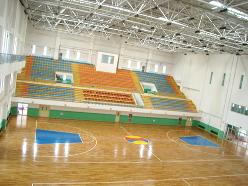 體育館運(yùn)動(dòng)木地板招標(biāo)采購案例