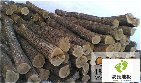 實(shí)木運(yùn)動(dòng)地板含水率的問題
