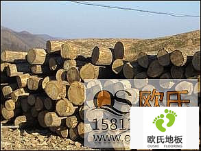 運動木地板價格