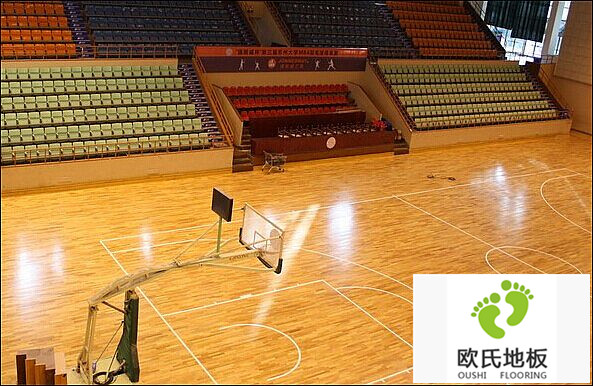 運動木地板楓木材料詳細說明