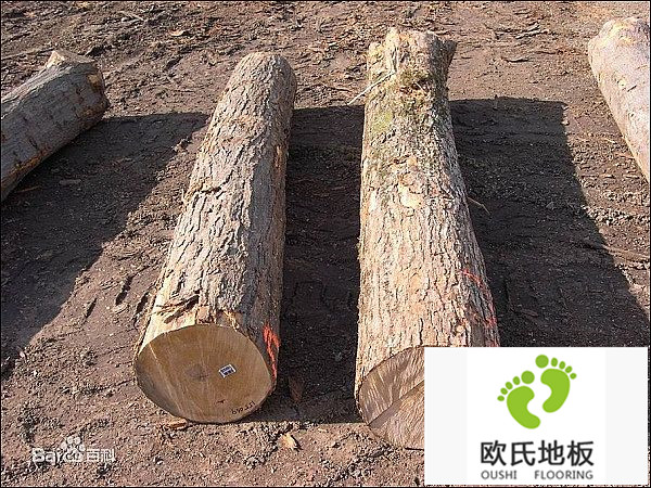 如何選擇體育實木地板廠家