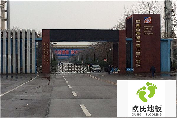 平煤神馬集團首山焦化職工俱樂部運動木地板成功案例