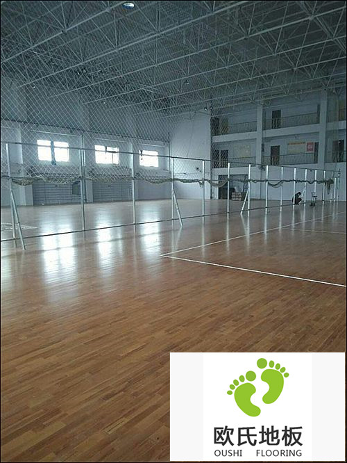 河北邢臺運動木地板：邢臺帥博體育體育館木地板案例