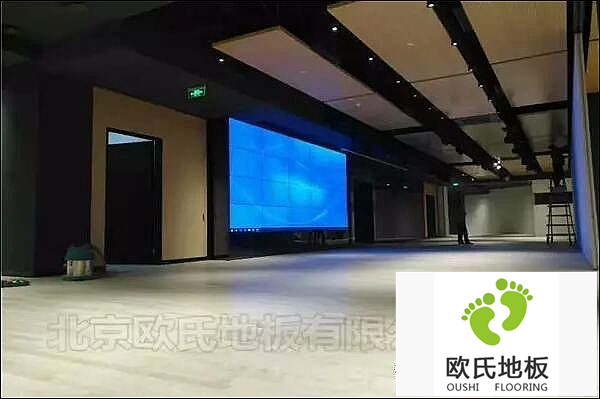 韓國大使館文化院多功能廳體育地板成功案例