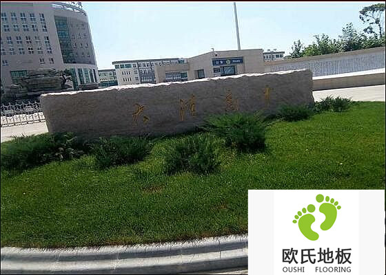 遼寧盤(pán)錦大洼高級(jí)中學(xué)籃球館體育木地板