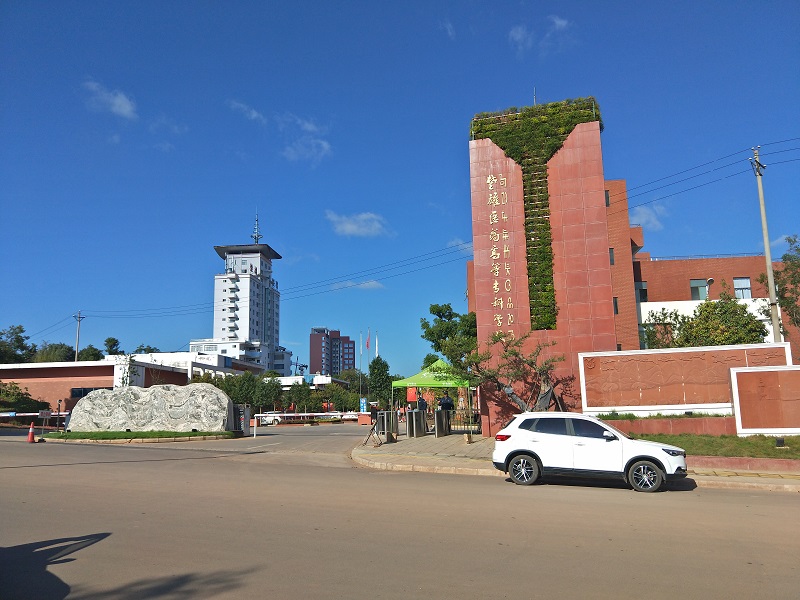 云南楚雄醫(yī)藥高等?？茖W(xué)校