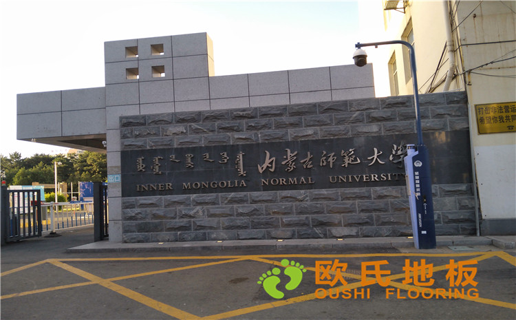 內(nèi)蒙古師范大學體育學院訓練館運動木地板項目