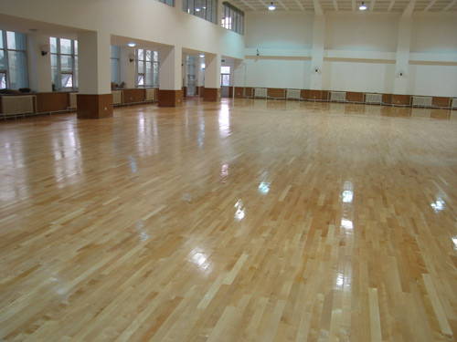 籃球場木地板.jpg