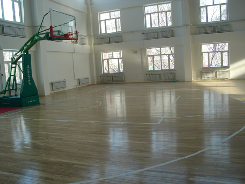 體育地板圖片