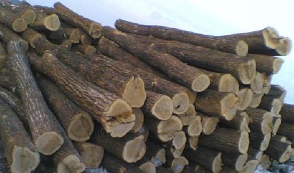 運動木地板廠家圖片